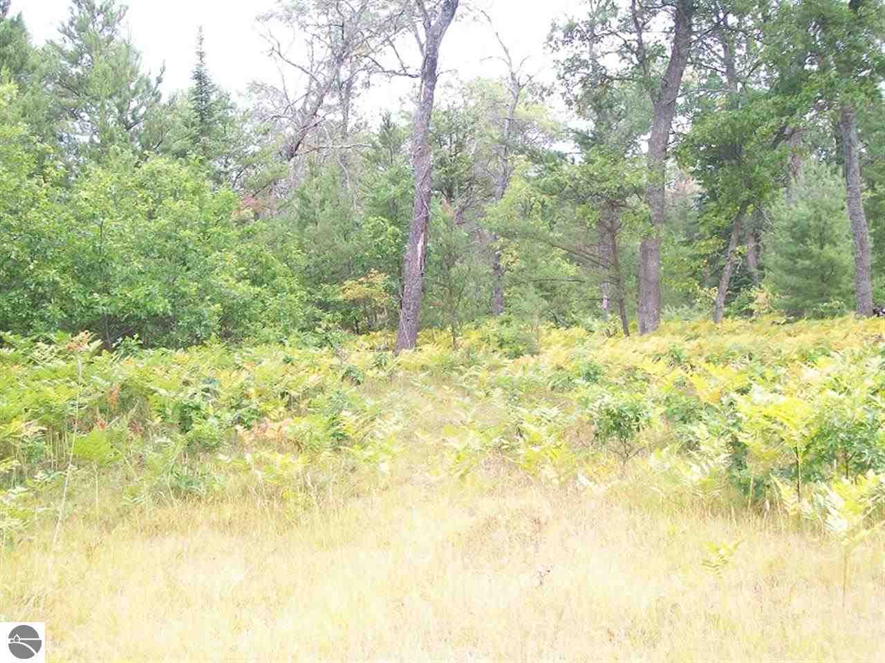 3551 South Morrison Road West Branch, MI 48661 - Photo 8 of 9 1783751-7.JPG