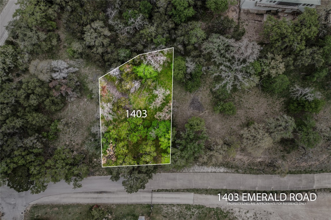 1403 Emerald Road Leander, TX 78645 - Photo 2 of 25 an outdoor view