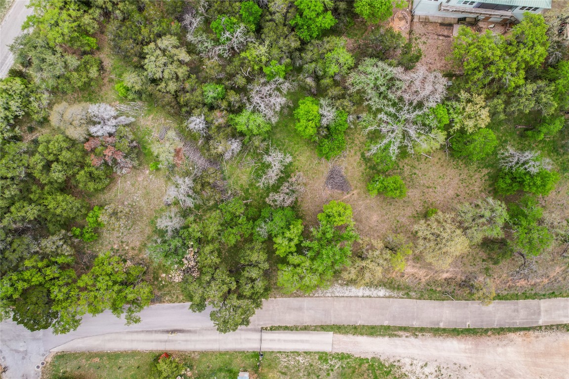 1403 Emerald Road Leander, TX 78645 - Photo 9 of 25 a view of a yard