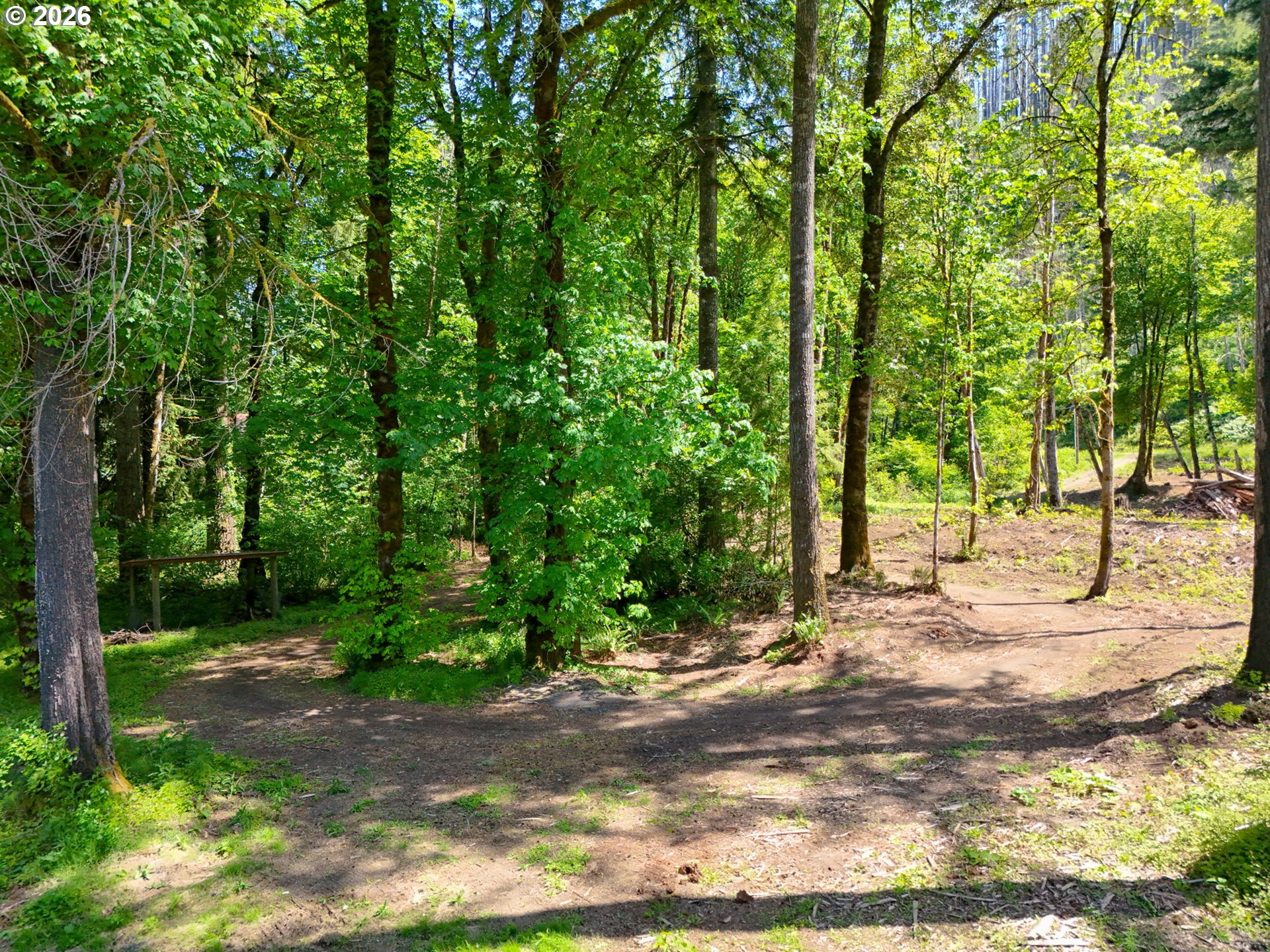 Goodpasture Road, Unit 1809 Vida, OR 97488 - Photo 4 of 24