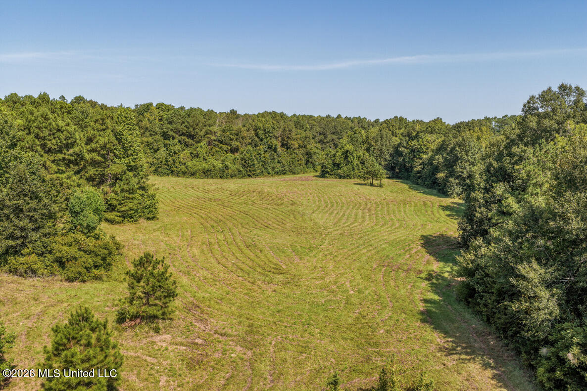 5056 Bethesda Road Crystal Springs, MS 39059 - Photo 6 of 48 DJI_20260818103927_0665_D