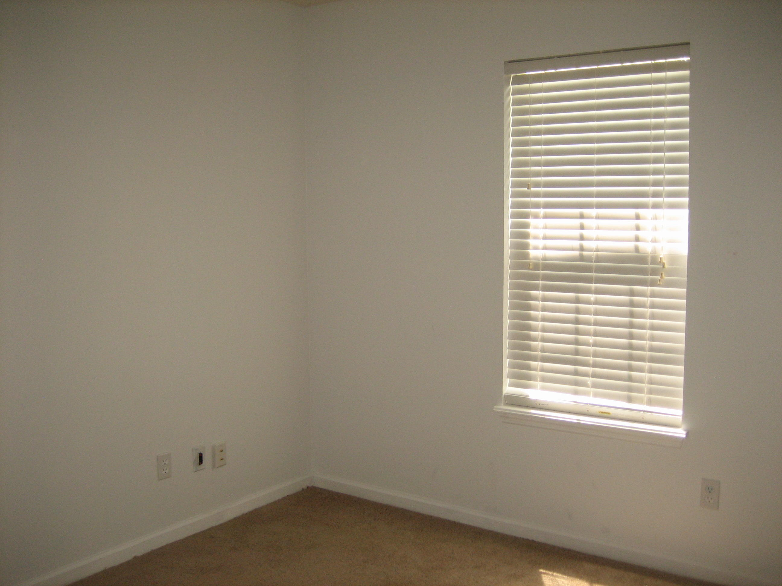 113 Jarett Road Summerville, SC 29485 - Photo 12 of 21 IMG_5089 015