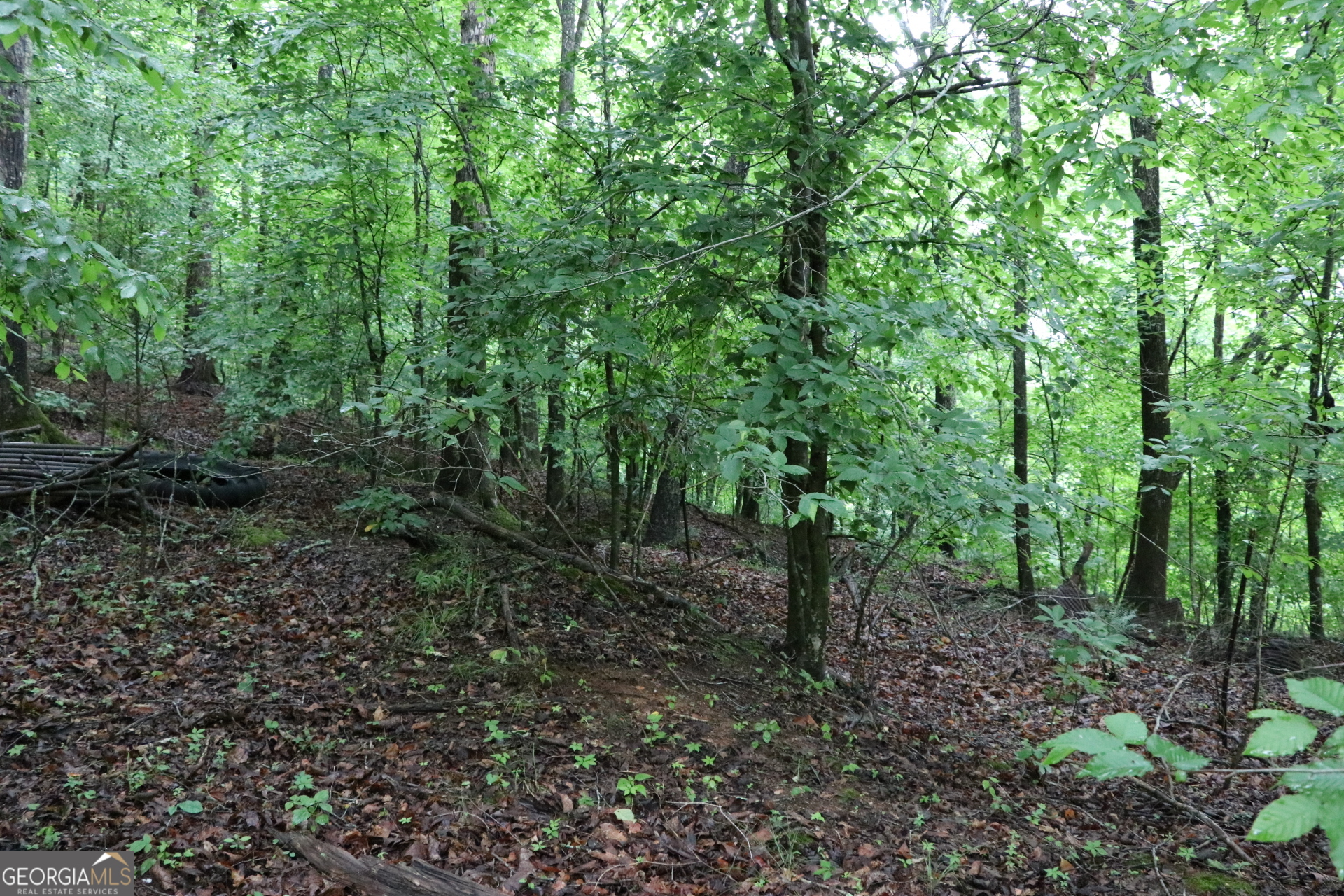 833 Neal Gap Road Summerville, GA 30747 - Photo 54 of 86