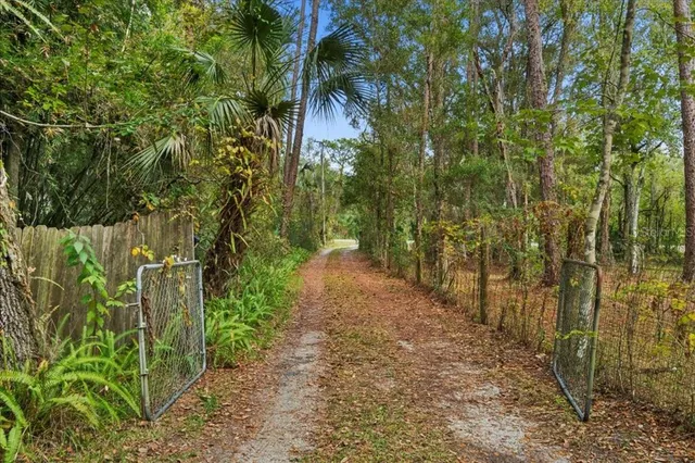 a view of a pathway of a yard