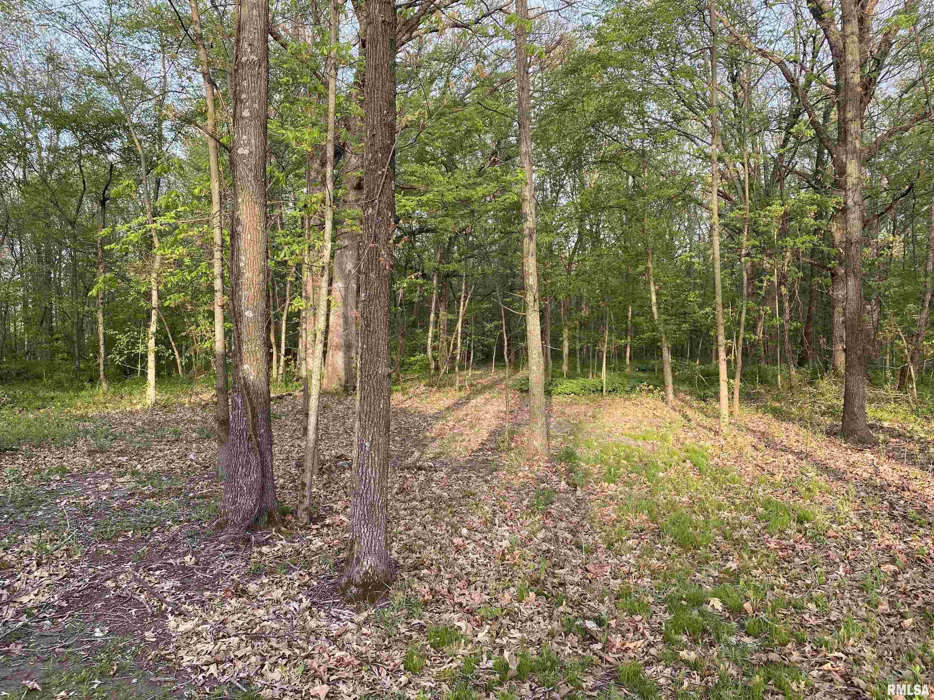 2450 County Farm Road Kell, IL 62853 - Photo 23 of 23