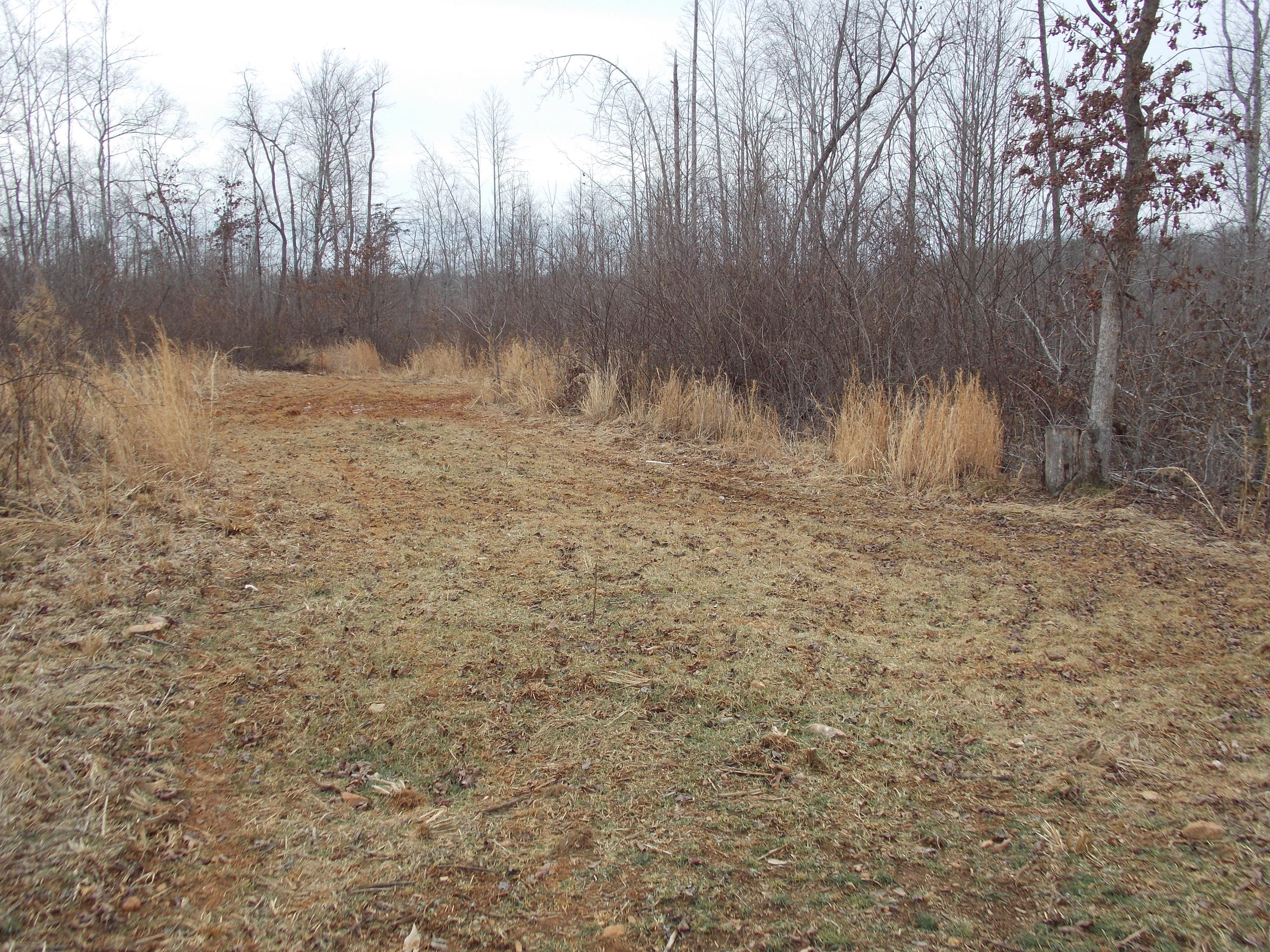 0 Virginia Nc Road Spencer, VA 24165 - Photo 14 of 24 a view of outdoor space and a yard