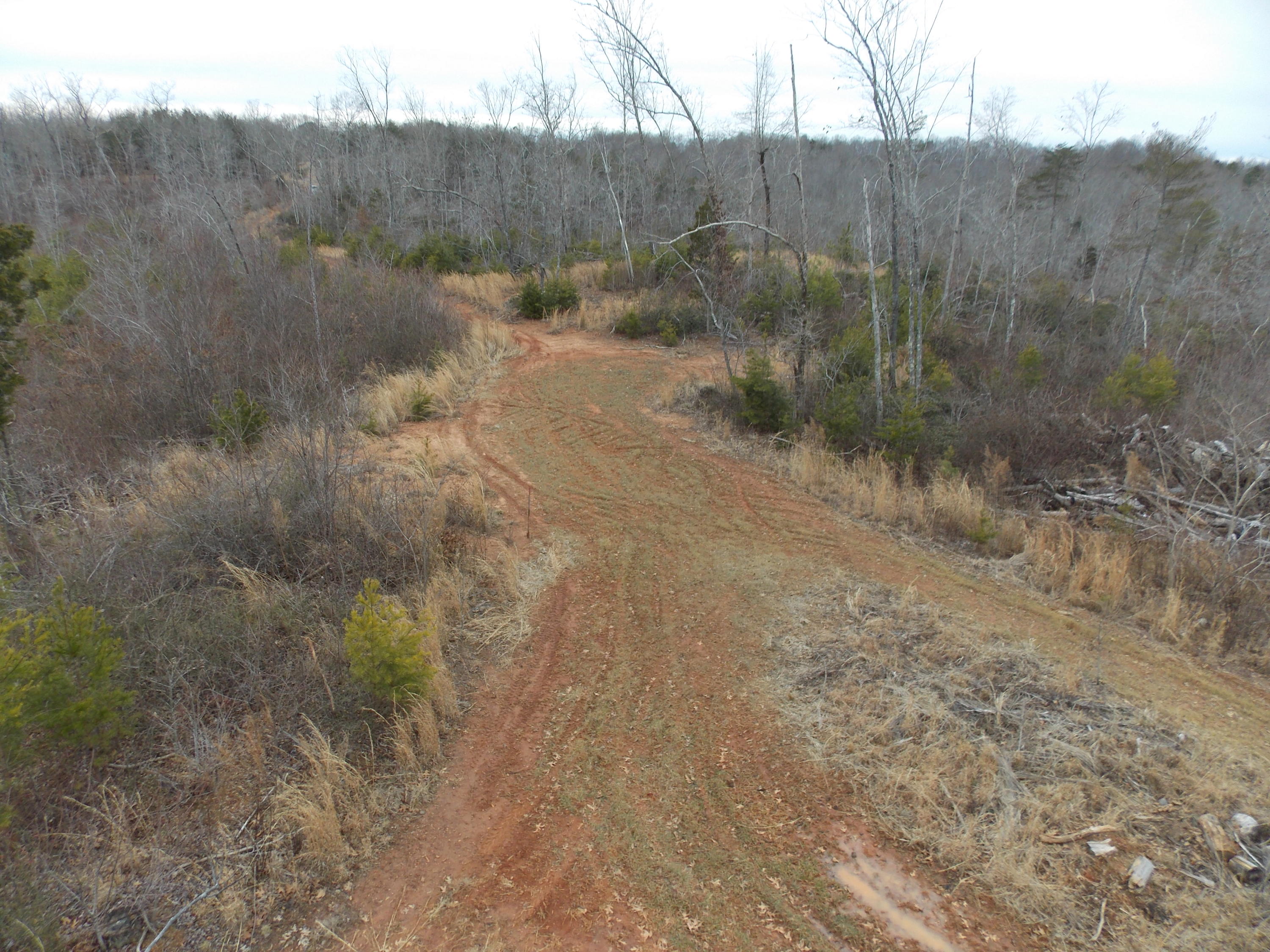 0 Virginia Nc Road Spencer, VA 24165 - Photo 20 of 24 a view of a dry yard with green space