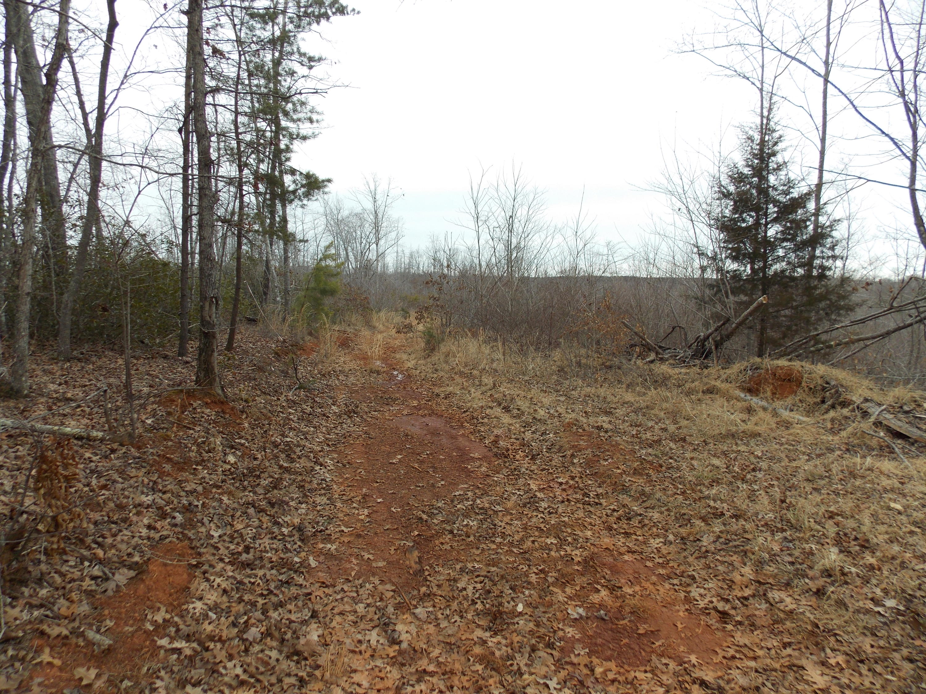 0 Virginia Nc Road Spencer, VA 24165 - Photo 24 of 24 a view of a forest with trees in the background