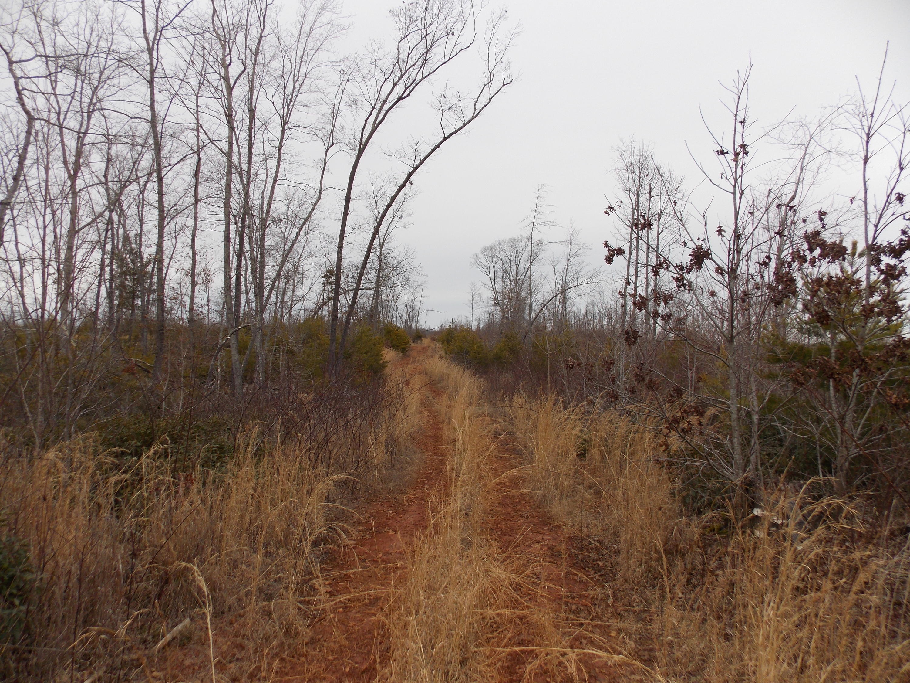 0 Virginia Nc Road Spencer, VA 24165 - Photo 5 of 24 a view of lake with green space