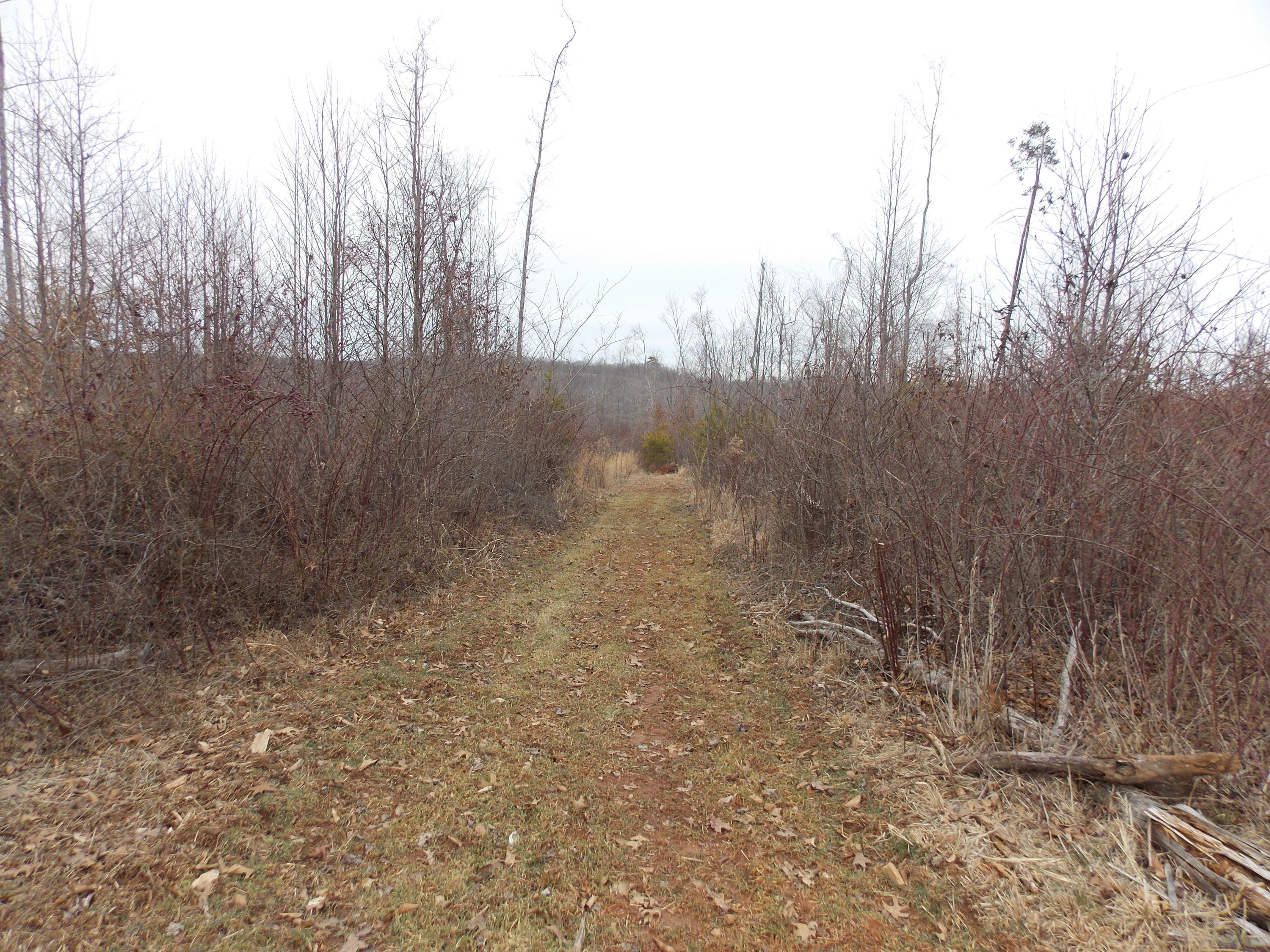 0 Virginia Nc Road Spencer, VA 24165 - Photo 8 of 24 a view of a yard