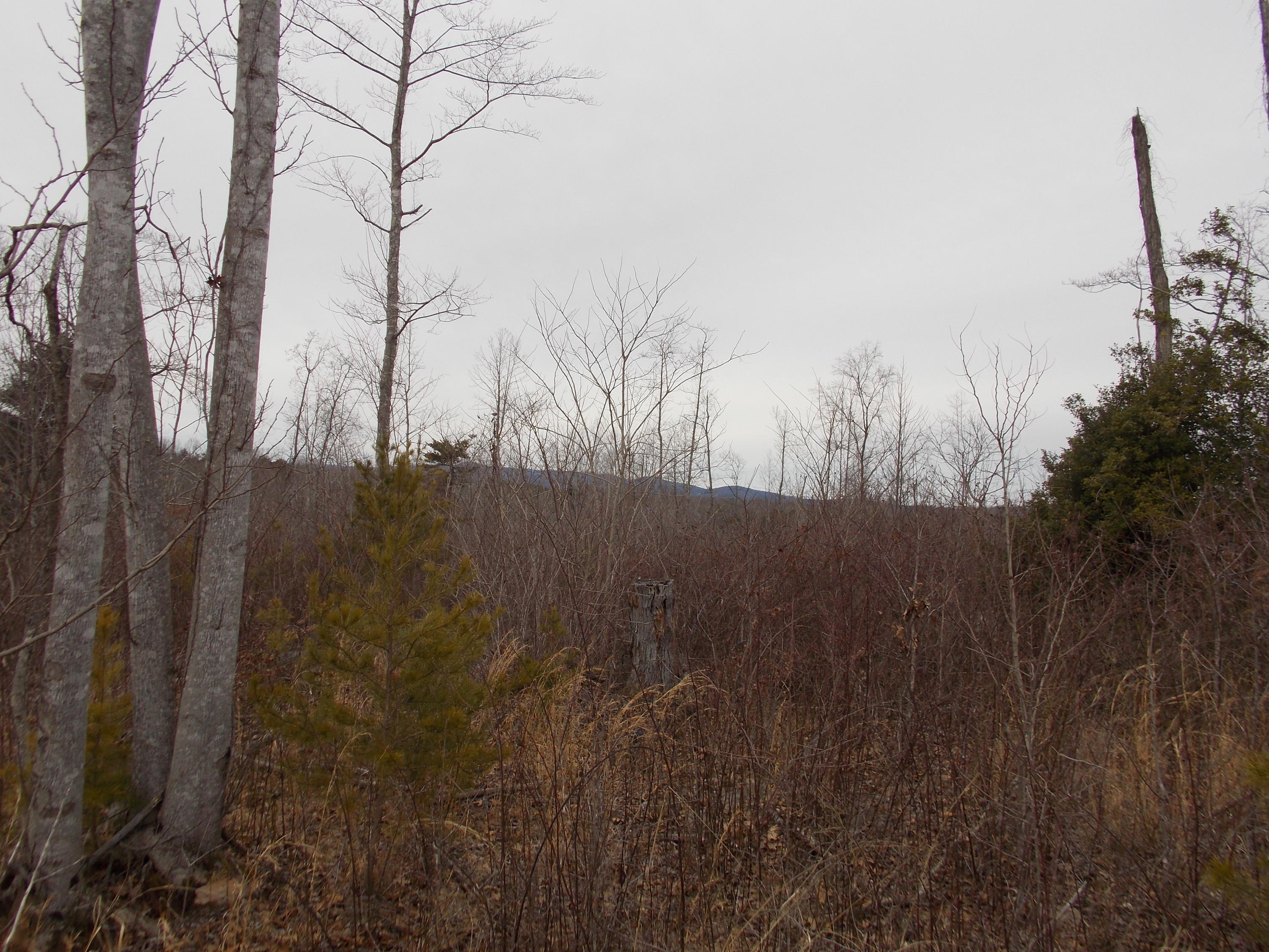 0 Virginia Nc Road Spencer, VA 24165 - Photo 9 of 24 a view of mountain covered with trees