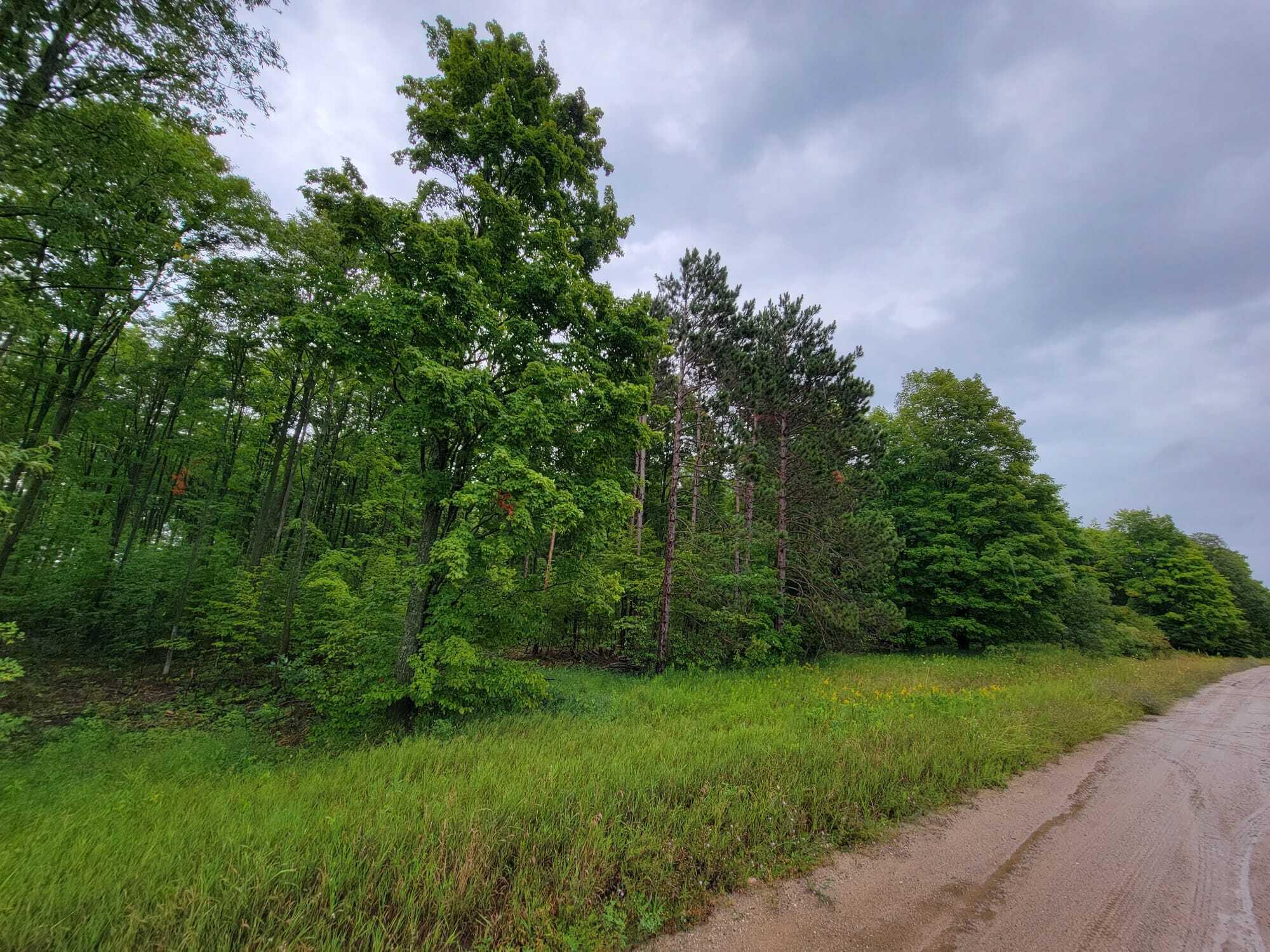 Oley Lake Road Gaylord, MI 49735 - Photo 6 of 11 Gallery Image 6
