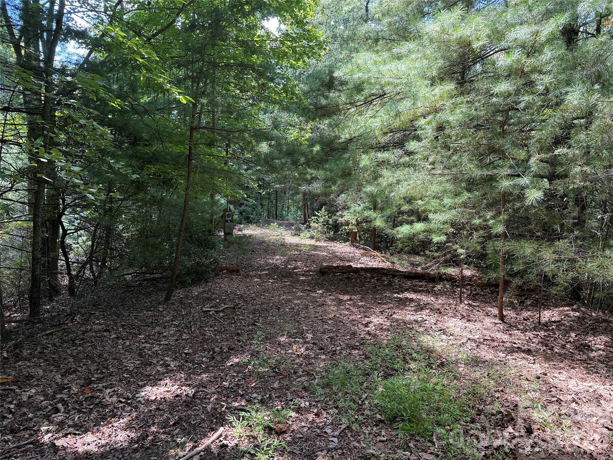 Tbd Hickory Holw Road, Unit 102 & 103 Purlear, NC 28665 - Photo 4 of 41