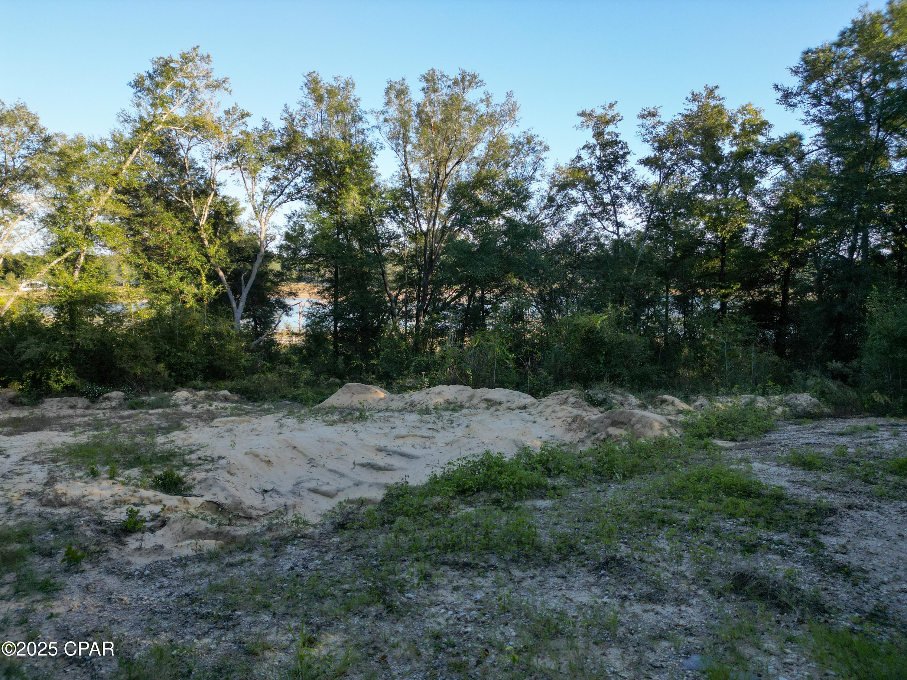 4660 Grassy Pond Road Chipley, FL 32428 - Photo 12 of 24