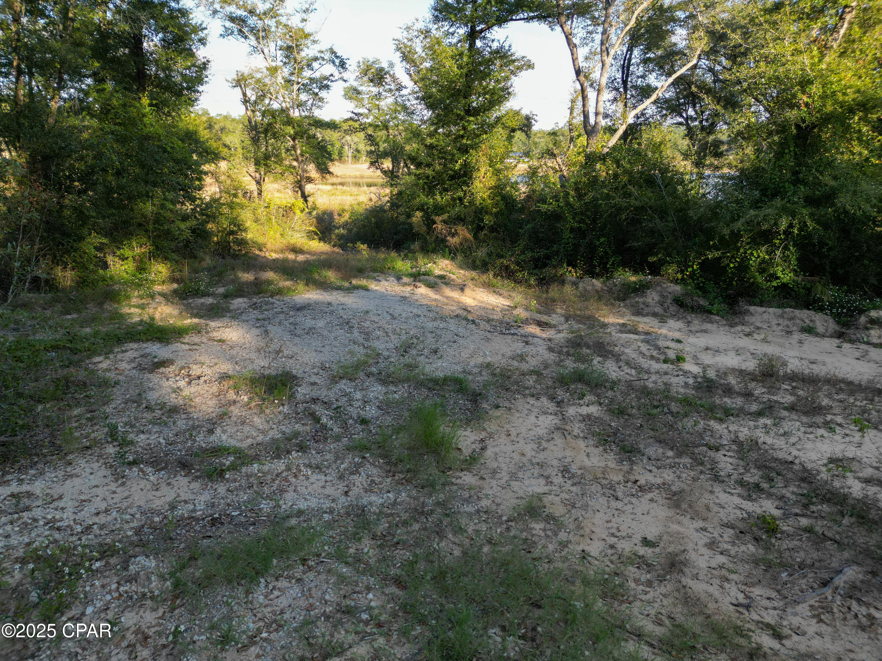 4660 Grassy Pond Road Chipley, FL 32428 - Photo 13 of 24