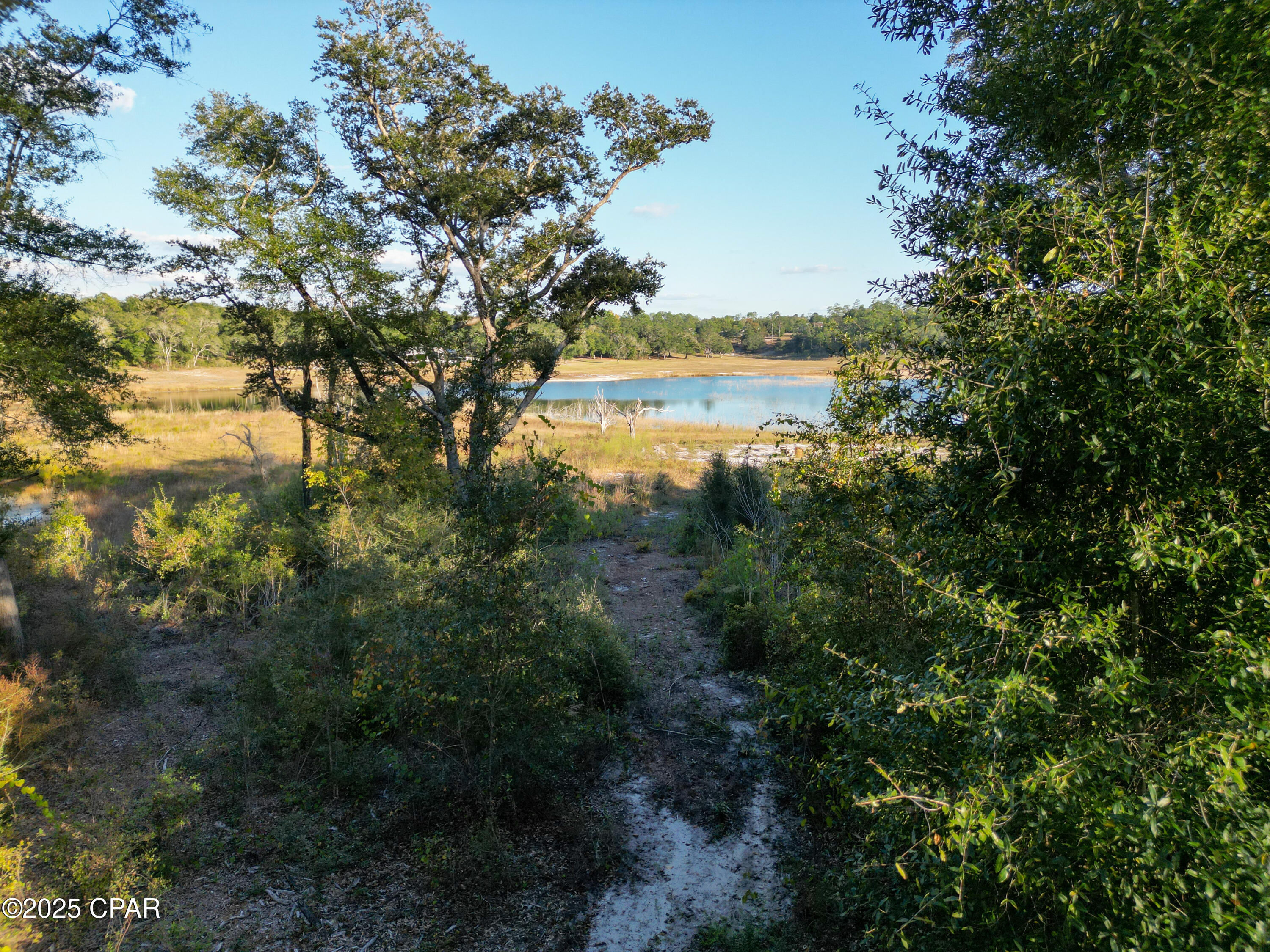 4660 Grassy Pond Road Chipley, FL 32428 - Photo 14 of 24