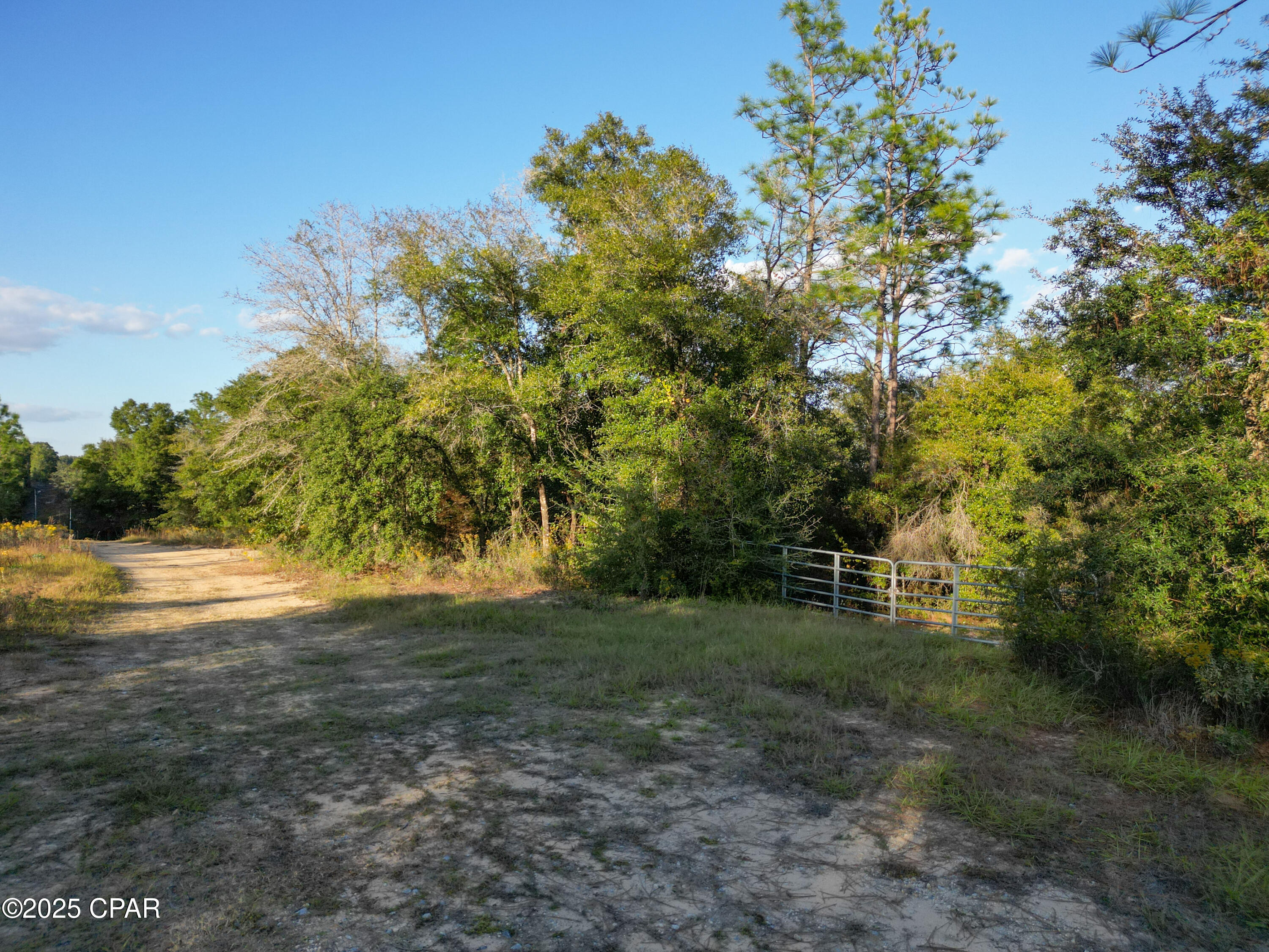 4660 Grassy Pond Road Chipley, FL 32428 - Photo 16 of 24