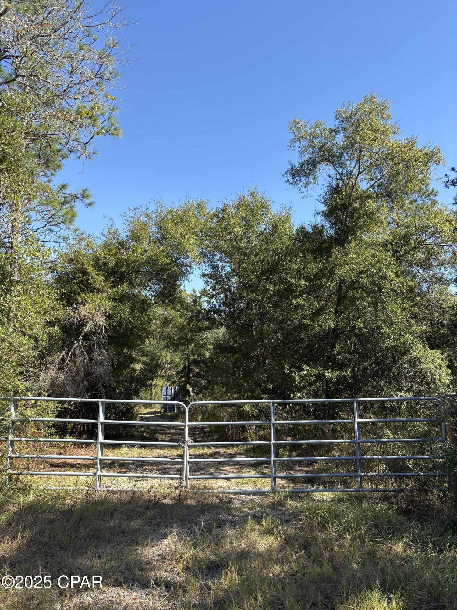 4660 Grassy Pond Road Chipley, FL 32428 - Photo 19 of 24