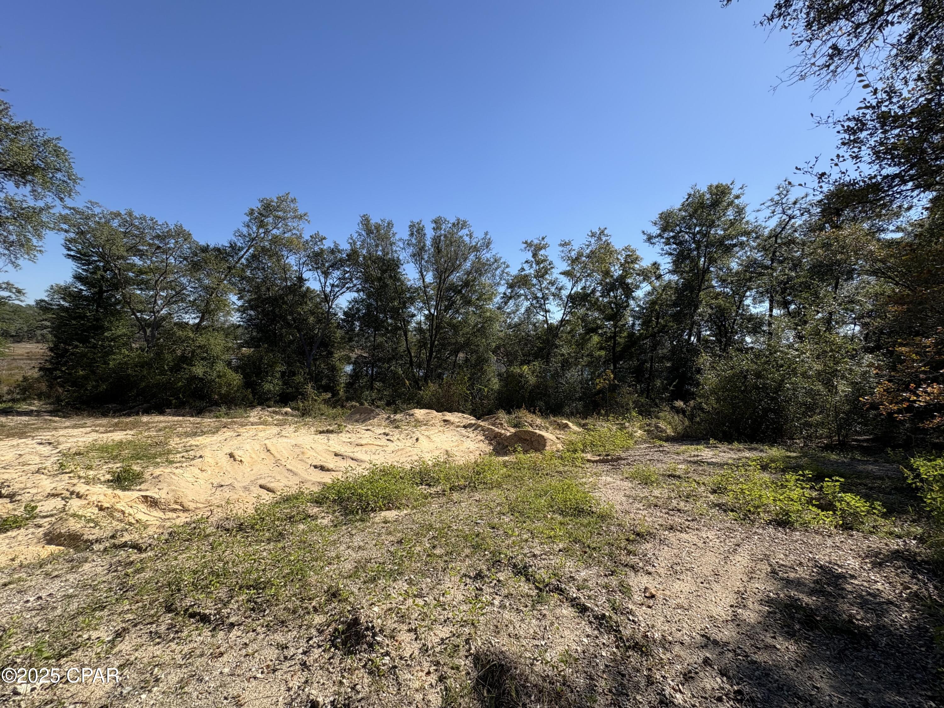 4660 Grassy Pond Road Chipley, FL 32428 - Photo 23 of 24