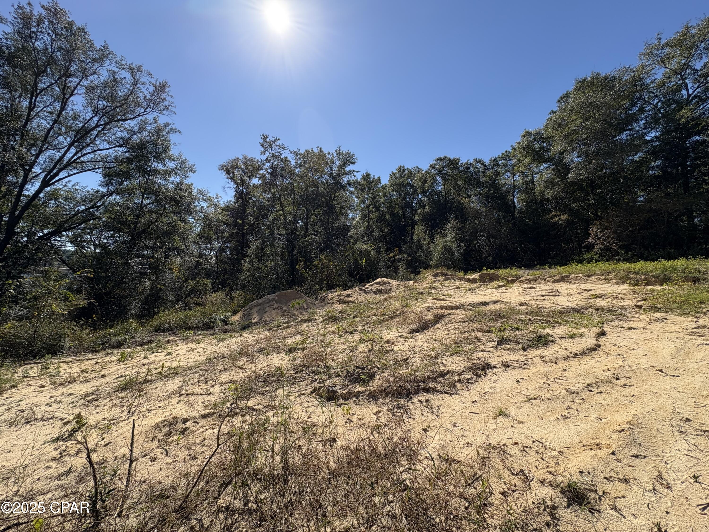 4660 Grassy Pond Road Chipley, FL 32428 - Photo 24 of 24