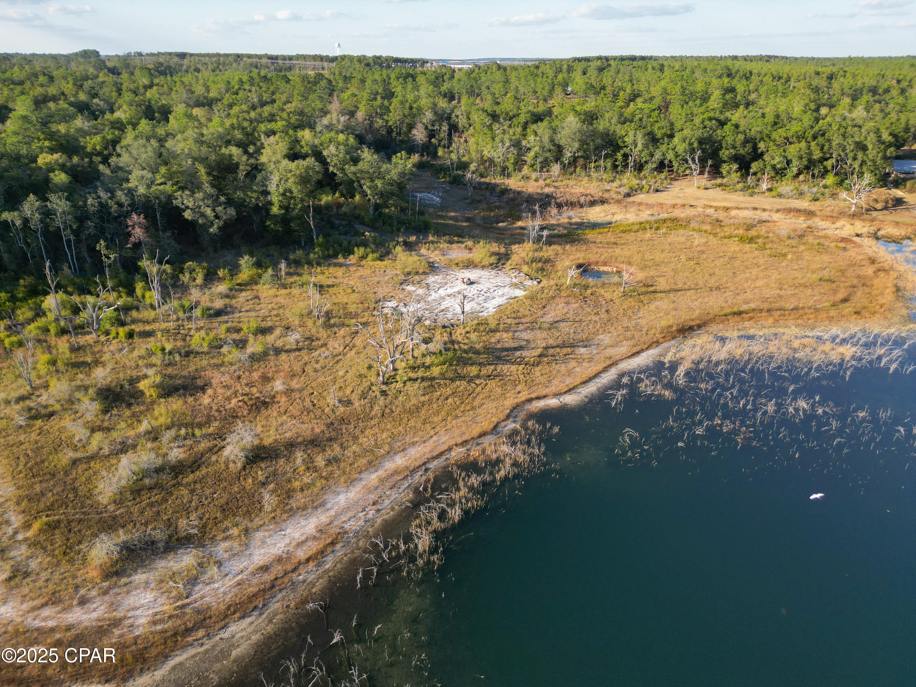4660 Grassy Pond Road Chipley, FL 32428 - Photo 10 of 24