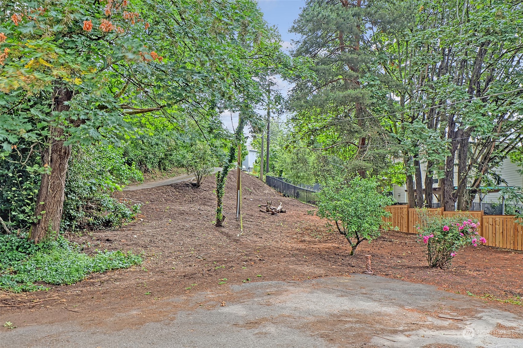 11629 53rd Avenue South Seattle, WA 98178 - Photo 23 of 26 a view of a road with a tree in the background