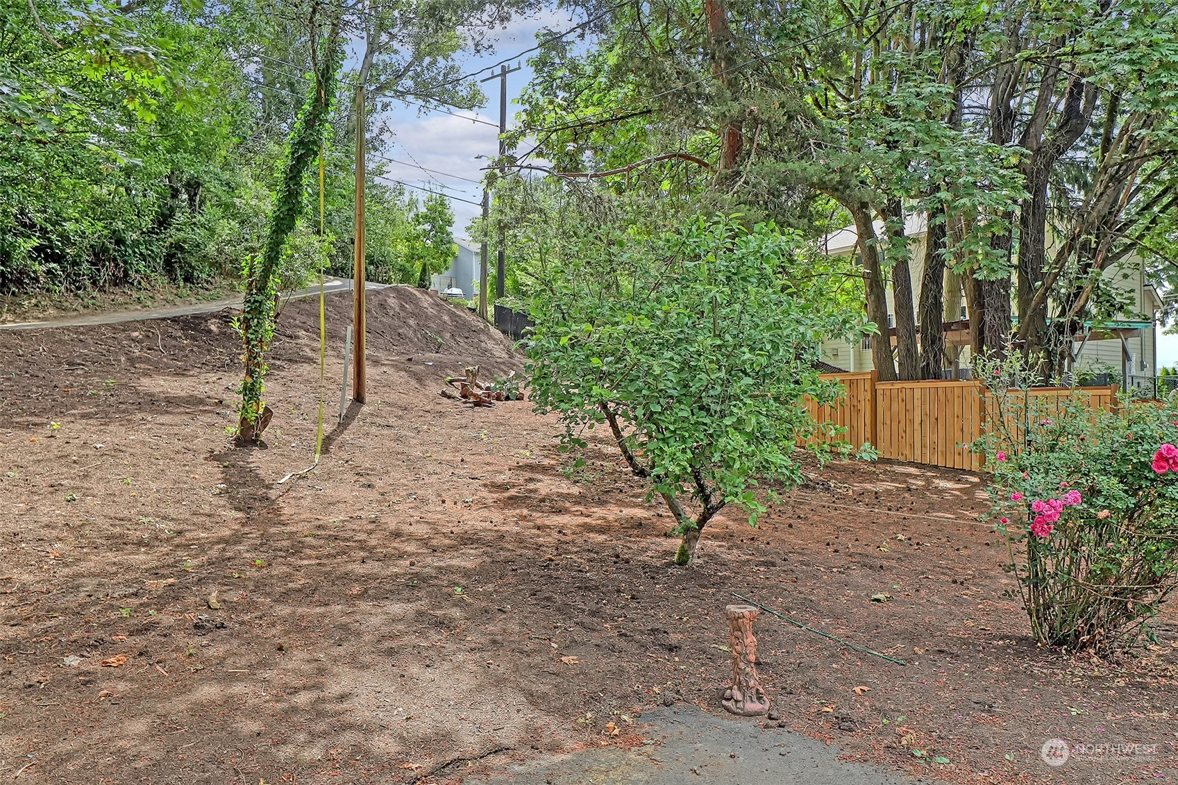 11629 53rd Avenue South Seattle, WA 98178 - Photo 24 of 26 a view of a yard with plants and trees