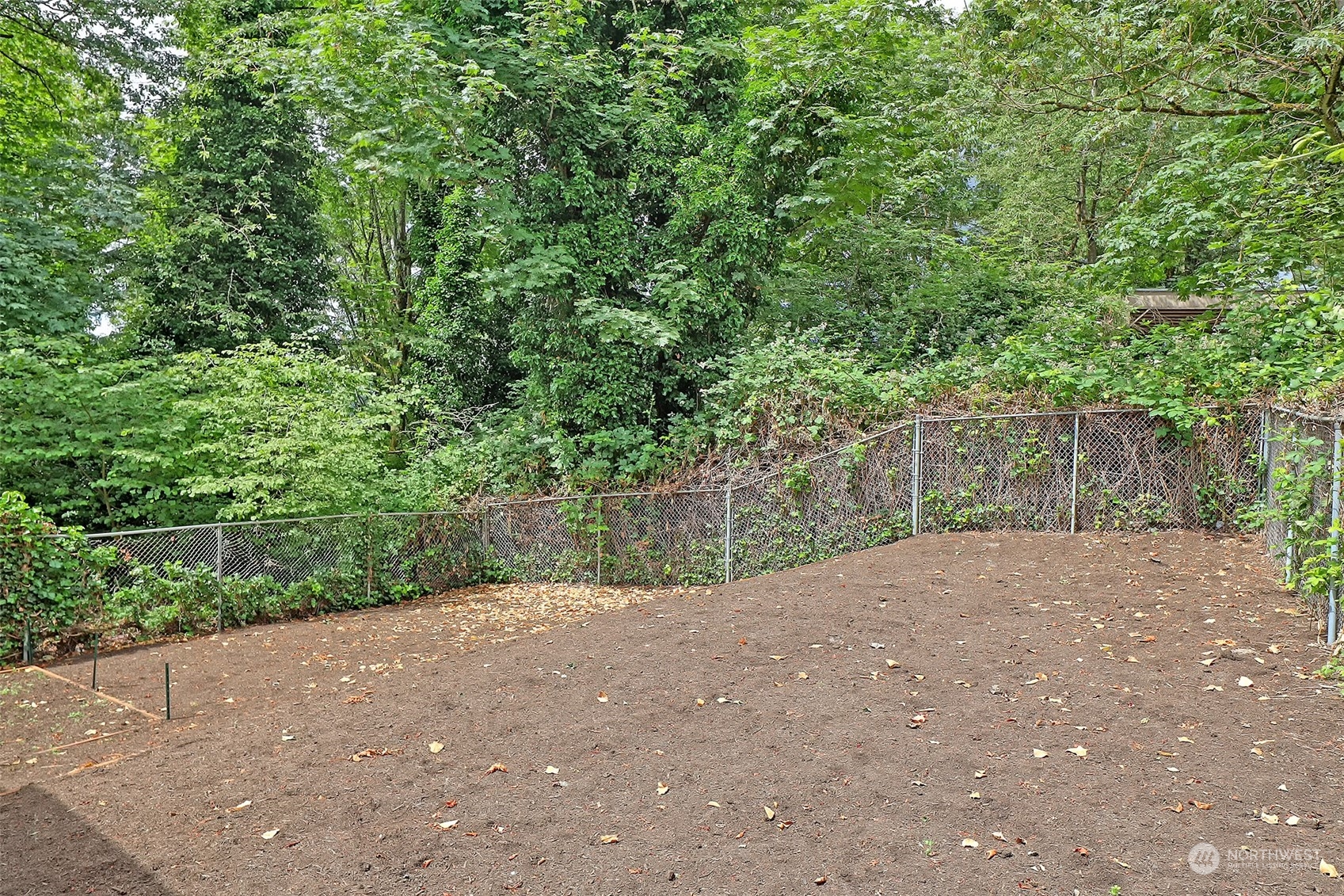 11629 53rd Avenue South Seattle, WA 98178 - Photo 25 of 26 a view of outdoor space and yard