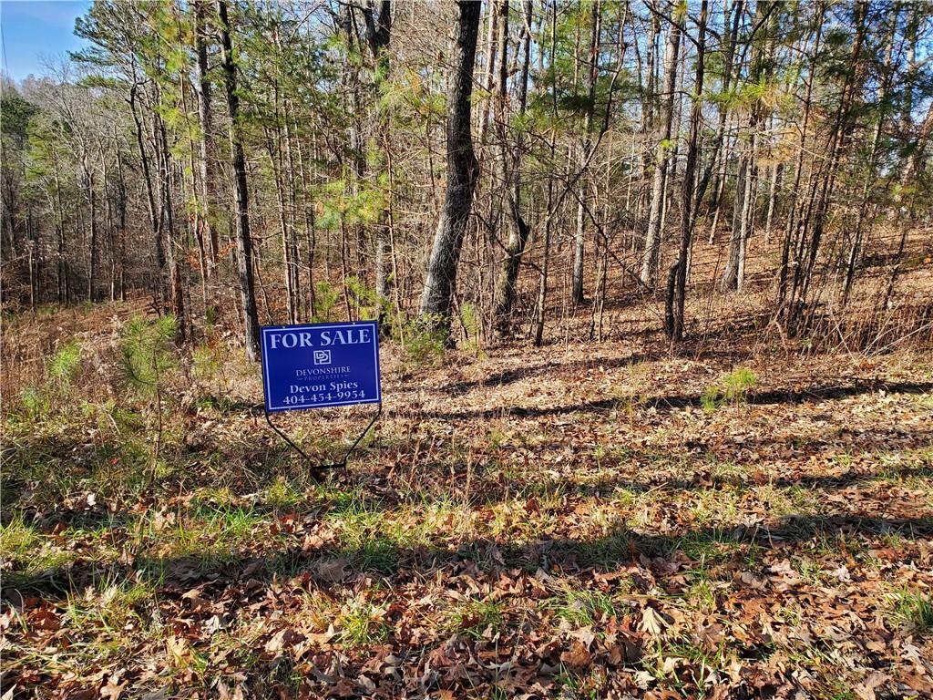0 Rose Garden Road Ellijay, GA 30540 - Photo 1 of 1 Gallery Image 1