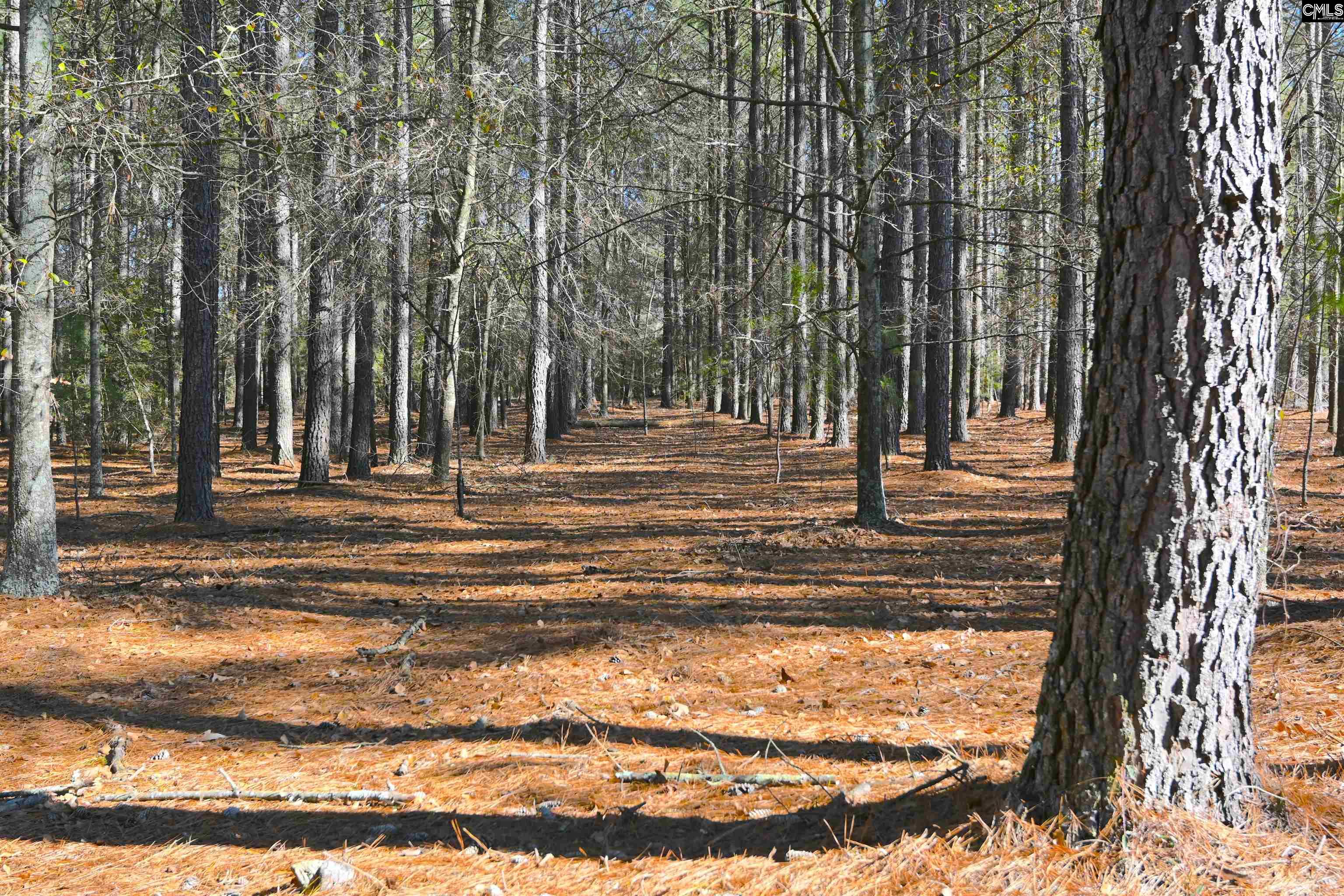 707 Mt Ebal Road Batesburg, SC 29006 - Photo 12 of 48