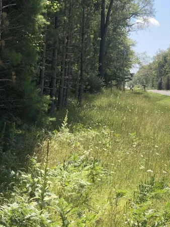 $45,000 | 4682 North Evergreen Drive, White Cloud, MI 49349