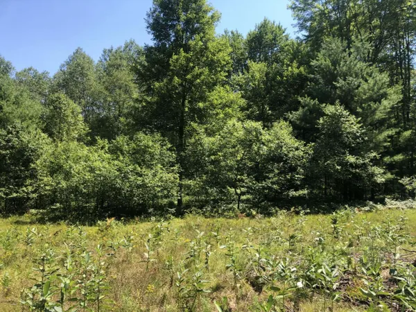 $45,000 | 4682 North Evergreen Drive, White Cloud, MI 49349