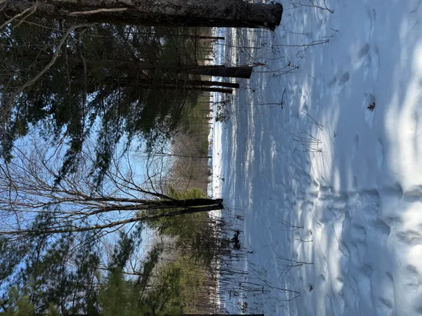 $45,000 | 4682 North Evergreen Drive, White Cloud, MI 49349