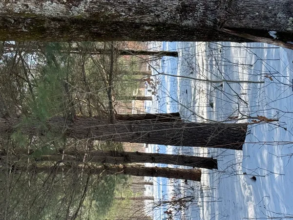 $45,000 | 4682 North Evergreen Drive, White Cloud, MI 49349