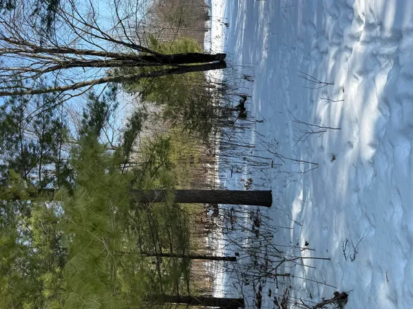 $45,000 | 4682 North Evergreen Drive, White Cloud, MI 49349