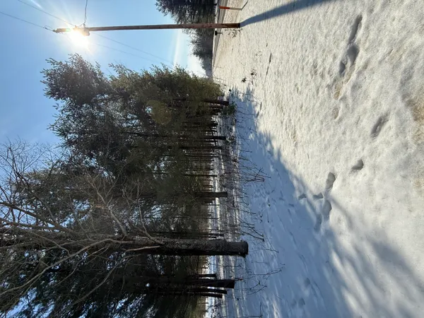 $45,000 | 4682 North Evergreen Drive, White Cloud, MI 49349