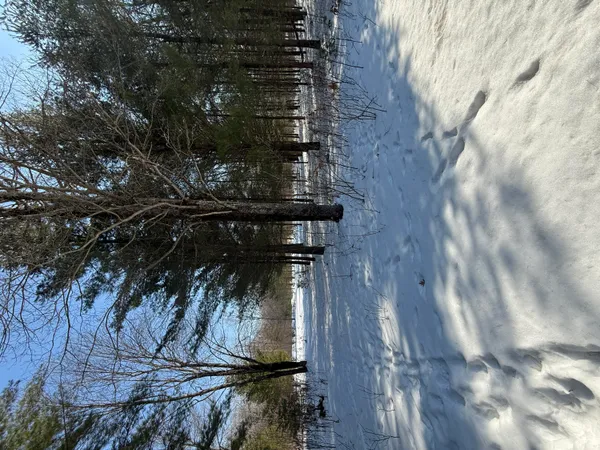 $45,000 | 4682 North Evergreen Drive, White Cloud, MI 49349