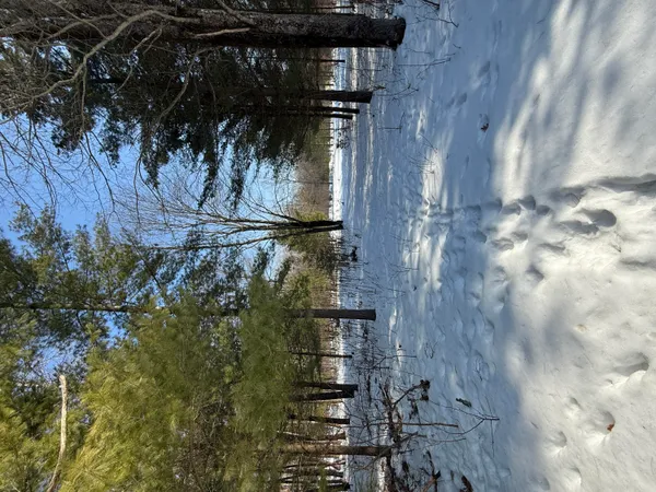 $45,000 | 4682 North Evergreen Drive, White Cloud, MI 49349