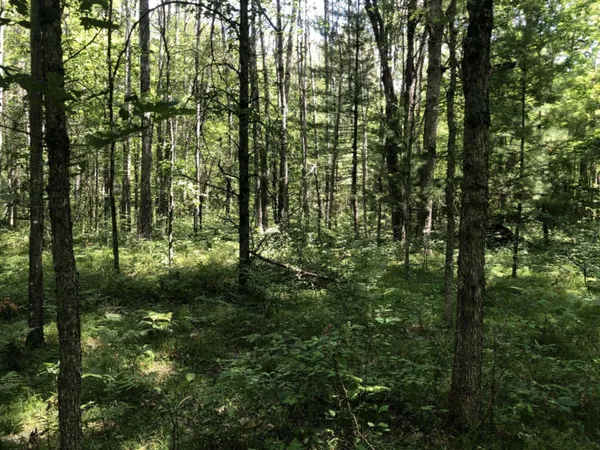 $45,000 | 4682 North Evergreen Drive, White Cloud, MI 49349