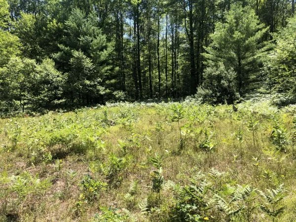 $45,000 | 4682 North Evergreen Drive, White Cloud, MI 49349