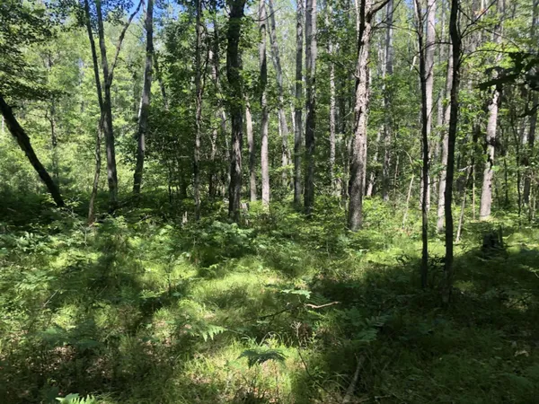 $45,000 | 4682 North Evergreen Drive, White Cloud, MI 49349