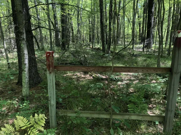 $45,000 | 4682 North Evergreen Drive, White Cloud, MI 49349