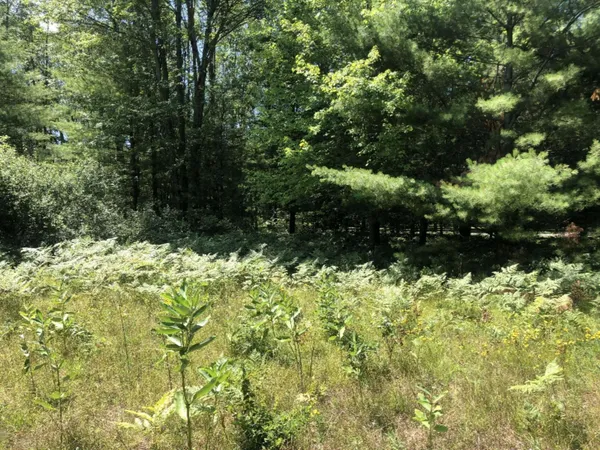 $45,000 | 4682 North Evergreen Drive, White Cloud, MI 49349