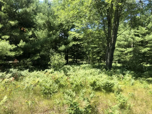 $45,000 | 4682 North Evergreen Drive, White Cloud, MI 49349