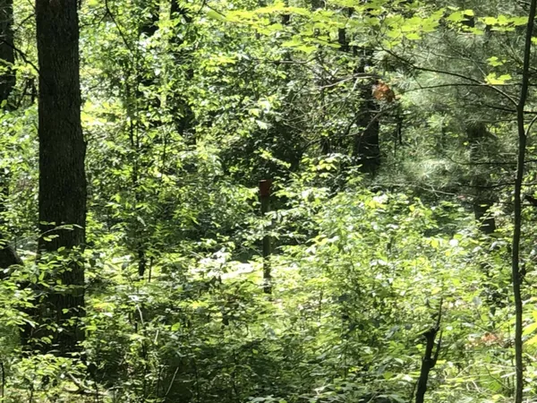 $45,000 | 4682 North Evergreen Drive, White Cloud, MI 49349