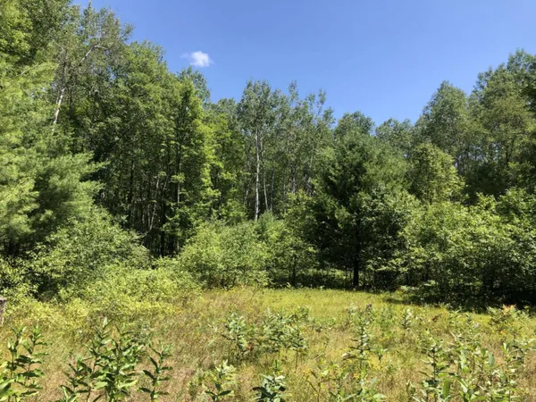 $45,000 | 4682 North Evergreen Drive, White Cloud, MI 49349