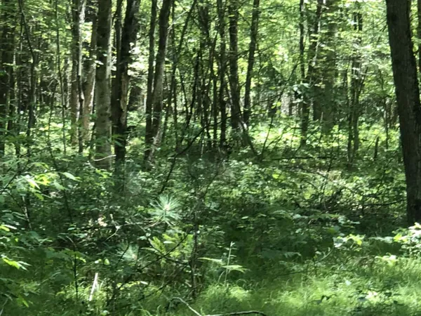 $45,000 | 4682 North Evergreen Drive, White Cloud, MI 49349