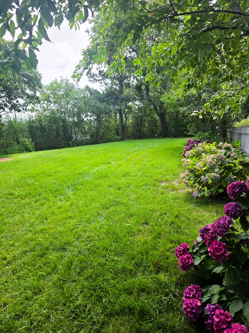 49 The Boulevard Edgartown, MA 02539 - Photo 10 of 49 Gallery Image 10
