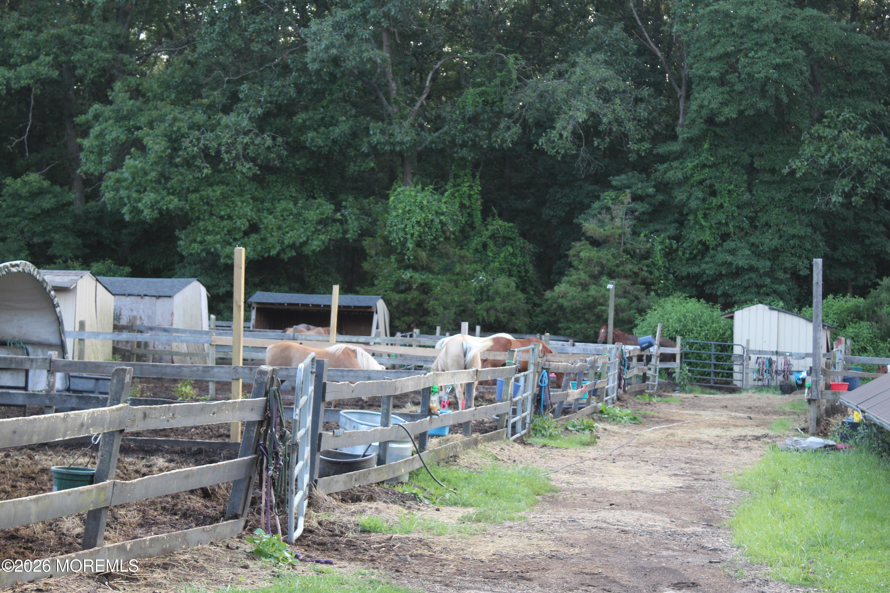 246 Toms River Road Jackson, NJ 08527 - Photo 21 of 69 IMG_0478