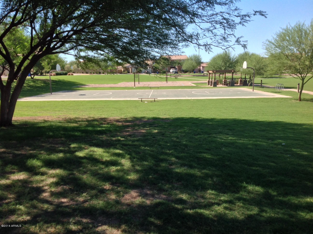 4361 South Rim Court Gilbert, AZ 85297 - Photo 27 of 51 Shade Trees in Park in walking distance